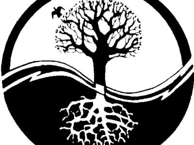 Elemento acqua e metallo