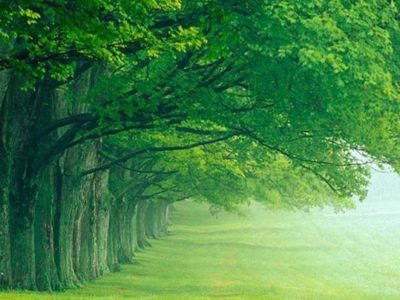 La fisiologia energetica del fegato